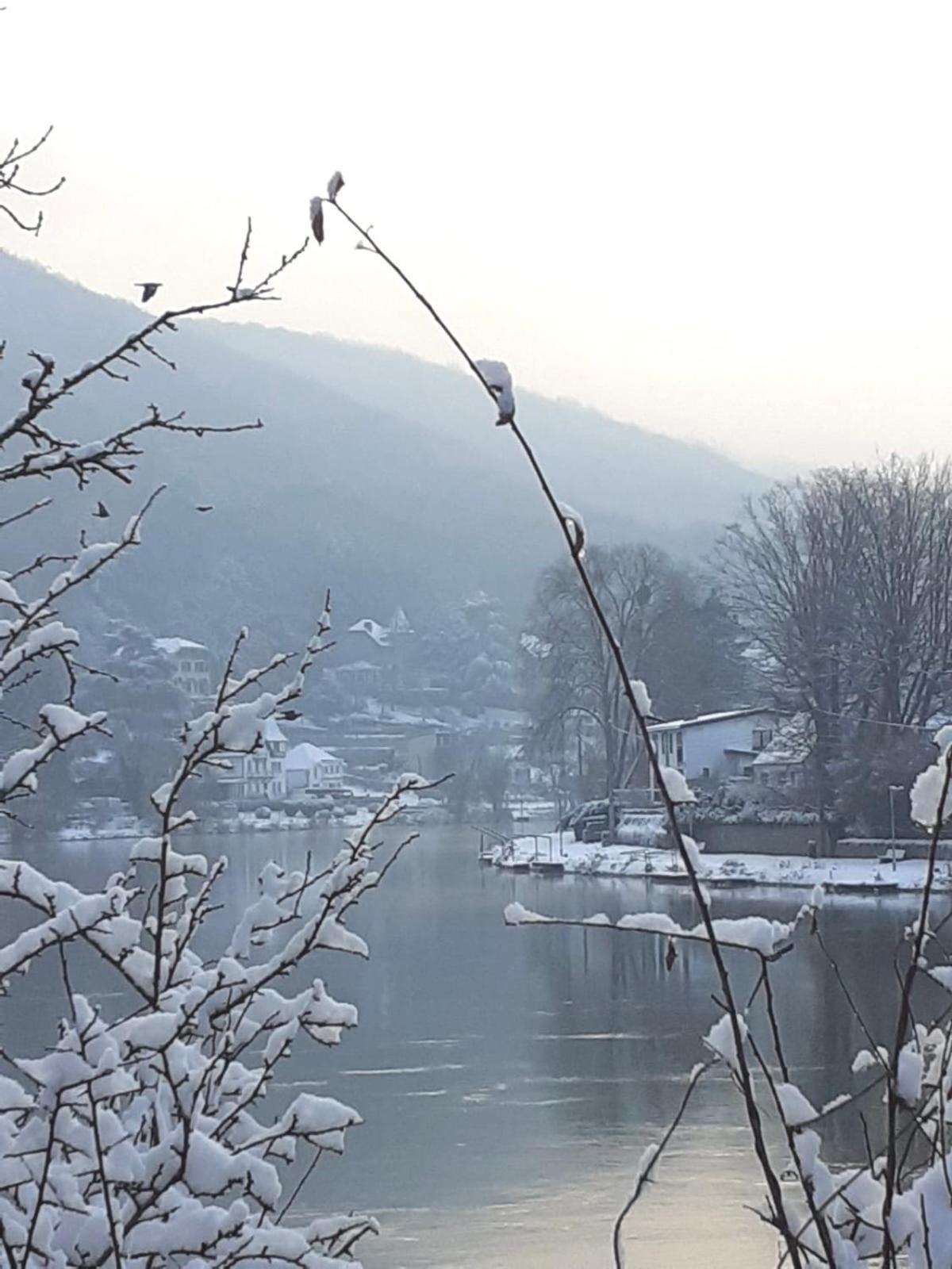 فيلا Pieds Dans L'Eau Private Wellness Bordure De Meuse Lustin المظهر الخارجي الصورة