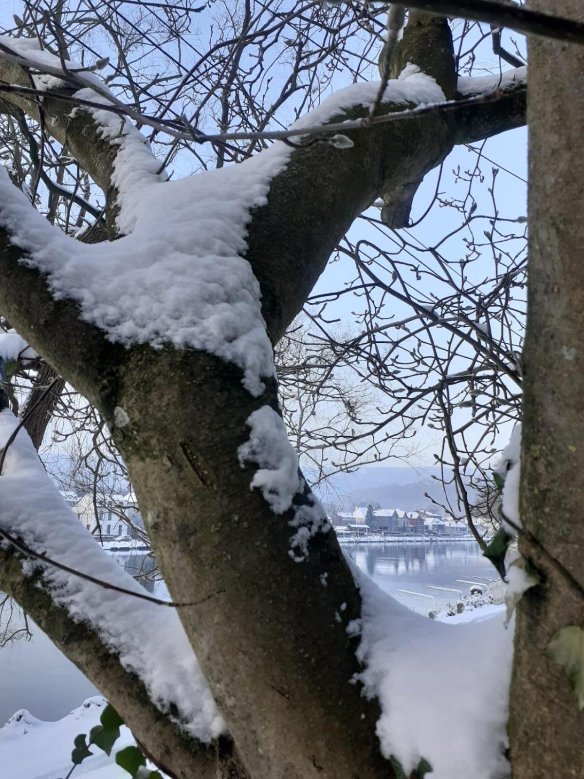 فيلا Pieds Dans L'Eau Private Wellness Bordure De Meuse Lustin المظهر الخارجي الصورة