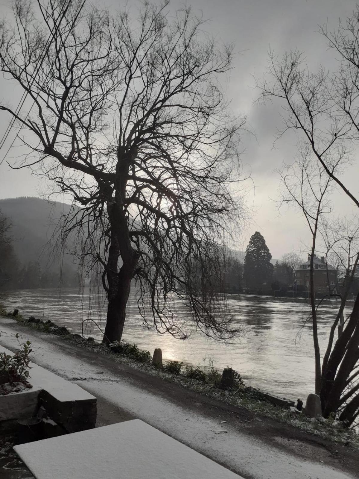 فيلا Pieds Dans L'Eau Private Wellness Bordure De Meuse Lustin المظهر الخارجي الصورة