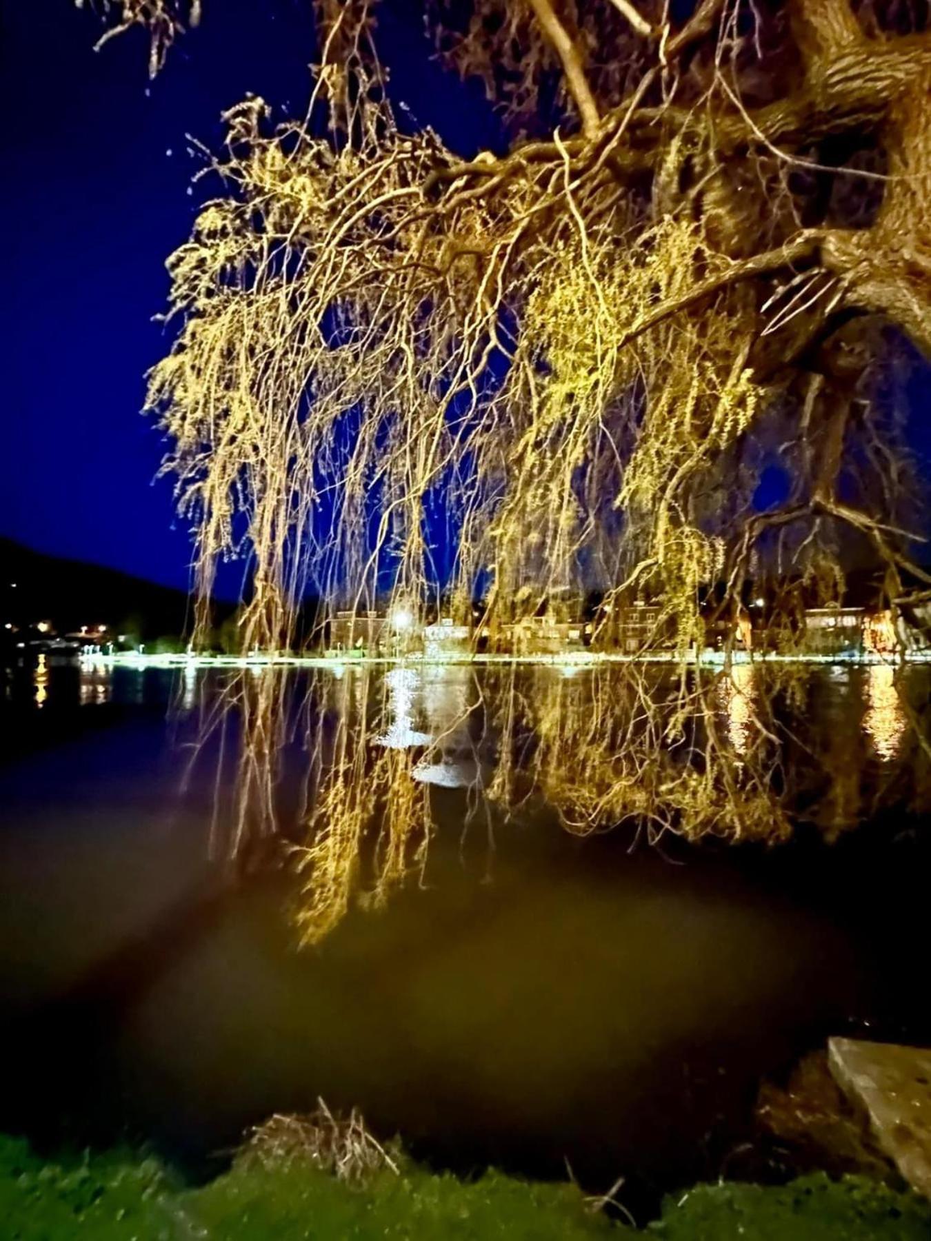 فيلا Pieds Dans L'Eau Private Wellness Bordure De Meuse Lustin المظهر الخارجي الصورة